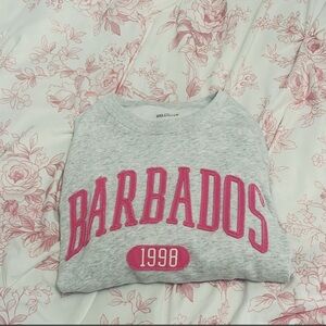 Pink hollister crewneck!💕